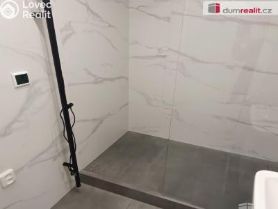 Pronájem bytu 2+1 Benešov nad Ploučnicí, Sídliště č. 19
