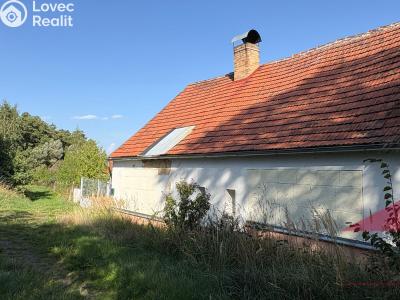 Sale family house Dražovice č. 4