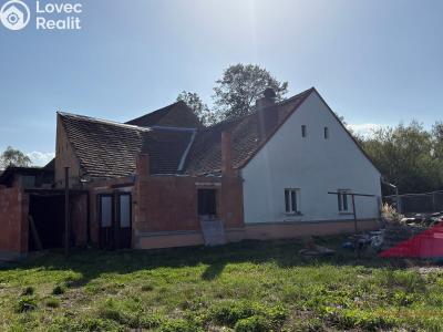 Sale family house Dražovice č. 13