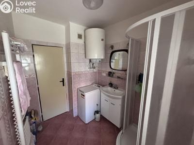 Sale family house Drahouš č. 8