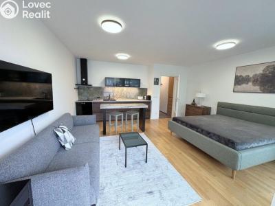 Оренда квартири 1+KK Praha, Krásova č. 5