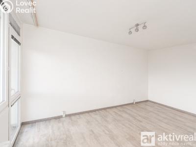Pronájem bytu 2+1 Roudnice nad Labem, Alej 17. listopadu č. 10