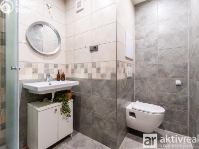 Pronájem bytu 2+1 Roudnice nad Labem, Alej 17. listopadu č. 13