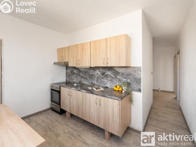 Pronájem bytu 2+1 Roudnice nad Labem, Alej 17. listopadu č. 3