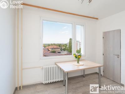 Pronájem bytu 2+1 Roudnice nad Labem, Alej 17. listopadu č. 4