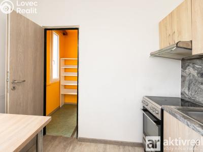 Pronájem bytu 2+1 Roudnice nad Labem, Alej 17. listopadu č. 5