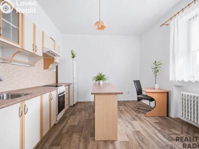 Prodej bytu 1+1 Pardubice, Čechovo nábřeží č. 1