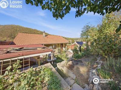Sale multi-gen house Dolní Kounice, Skalní č. 36