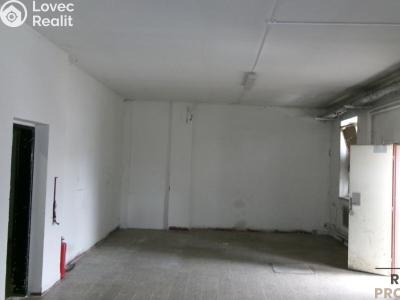 Pronájem skladového prostoru Brno č. 1