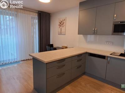Оренда квартири 1+KK Praha, Olšanská č. 7
