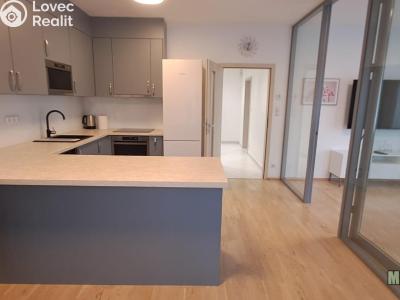 Оренда квартири 1+KK Praha, Olšanská č. 11