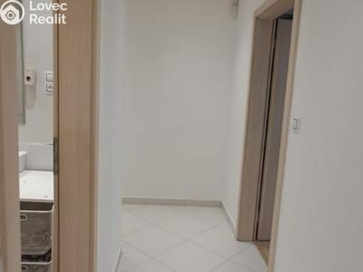 Оренда квартири 1+KK Praha, Olšanská č. 18