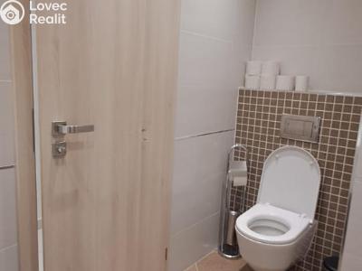 Оренда квартири 1+KK Praha, Olšanská č. 22