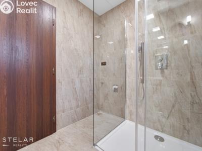 Продаж сімейного будинку Benešov č. 18