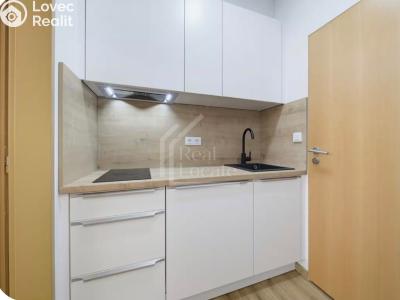 Pronájem bytu 1+KK Praha, Seifertova č. 1