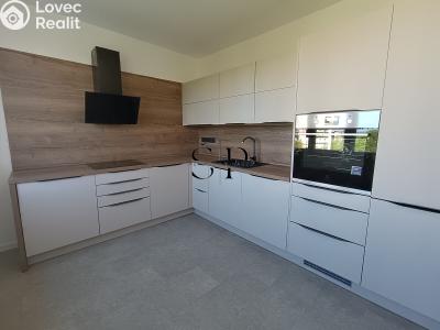 Rent apartment 2+1 Sokolov, Slavíčkova č. 1