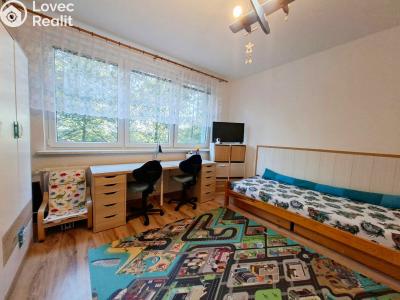 Sale apartment 3+1 Orlová, Adamusova č. 5