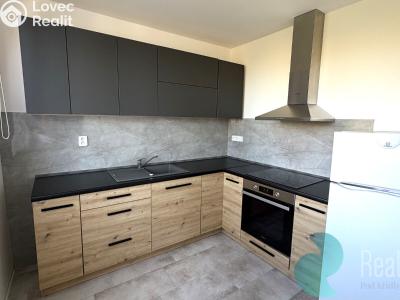 Rent apartment 3+1 České Budějovice, Kostelní č. 2