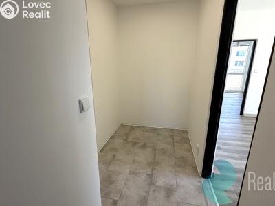 Rent apartment 3+1 České Budějovice, Kostelní č. 7