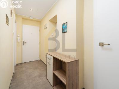 Продажа квартиры 3+KK Hodonín, U Červených domků č. 7