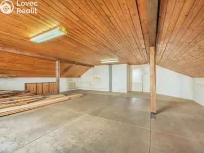 Продаж сімейного будинку Plzeň, Slovanské údolí č. 28