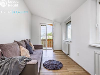 Продаж сімейного будинку Světlá nad Sázavou, Haškova č. 4