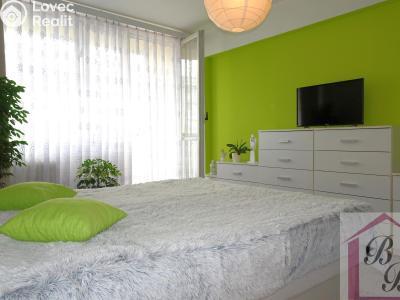 Продажа квартиры 3+1 Mladá Boleslav, 17. listopadu 1160 č. 12