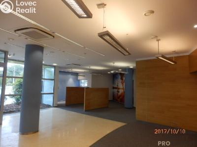 Pronájem obchodního prostoru Brno, Bubeníčkova č. 3