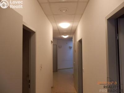 Pronájem obchodního prostoru Brno, Bubeníčkova č. 9