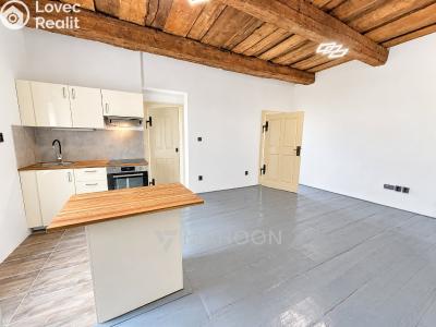 Rent apartment 2+KK Slaný, Kynského č. 1