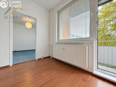 Продажа квартиры 3+1 Týn nad Vltavou, Hlinecká 674 č. 3
