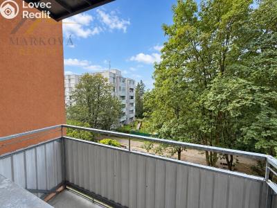 Продажа квартиры 3+1 Týn nad Vltavou, Hlinecká 674 č. 6