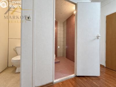 Продажа квартиры 3+1 Týn nad Vltavou, Hlinecká 674 č. 7