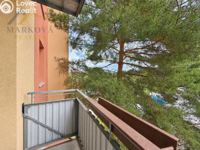 Продажа квартиры 3+1 Týn nad Vltavou, Hlinecká 674 č. 13