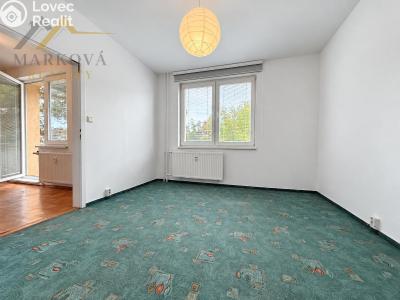 Продажа квартиры 3+1 Týn nad Vltavou, Hlinecká 674 č. 16