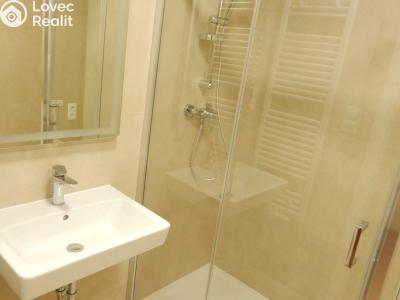 Prodej bytu 1+KK Kladno, U Mrazíren 3569 č. 17