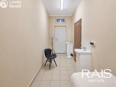 Продажа гостиницы Brno, Svitavská č. 5