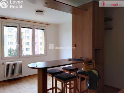 Rent apartment 1+1 Dobřany, Loudů č. 2