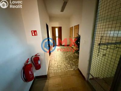 Sale hotel Sobotín č. 29