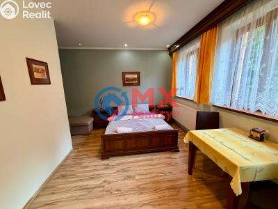 Sale hotel Sobotín č. 45