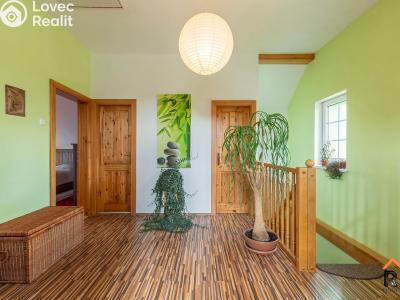 Продажа семейного дома Dětenice č. 18