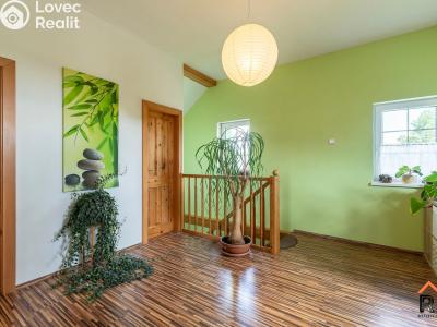 Продажа семейного дома Dětenice č. 19