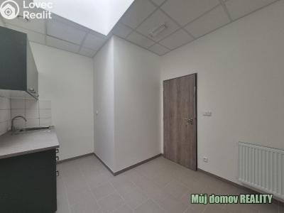 Pronájem skladového prostoru Praha, K pérovně č. 8