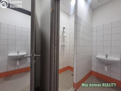 Pronájem skladového prostoru Praha, K pérovně č. 9