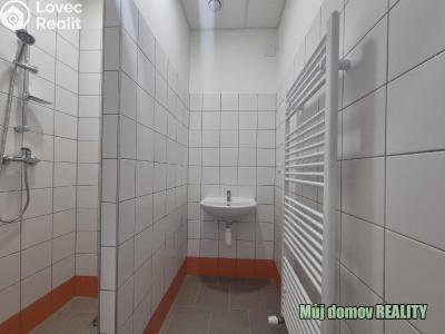 Pronájem skladového prostoru Praha, K pérovně č. 10