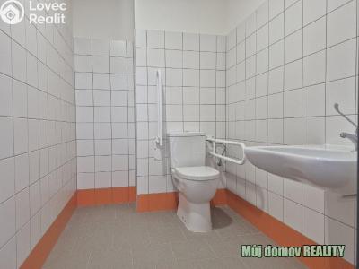 Pronájem skladového prostoru Praha, K pérovně č. 14