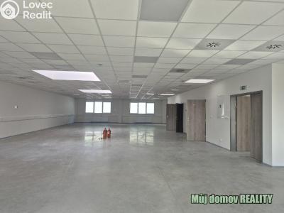 Pronájem skladového prostoru Praha, K pérovně č. 16