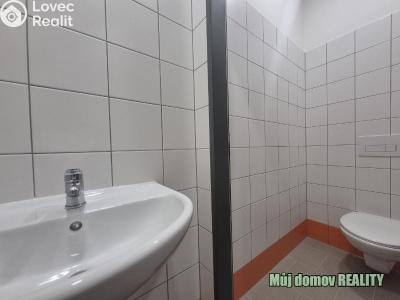Pronájem skladového prostoru Praha, K pérovně č. 18