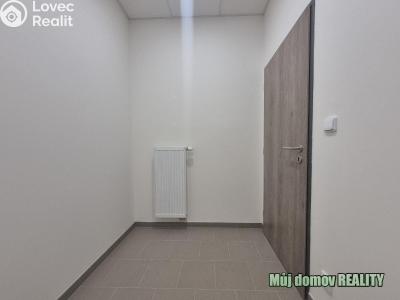 Pronájem skladového prostoru Praha, K pérovně č. 19