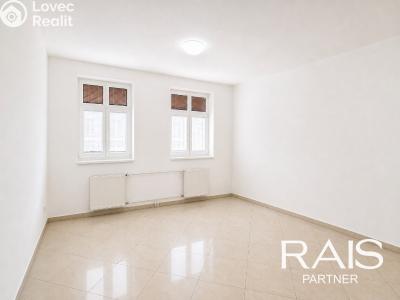 Sale apartment 1+KK Brno, Svitavská č. 2
